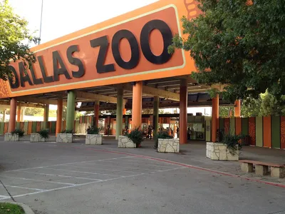 WildLights del Zoológico de Dallas