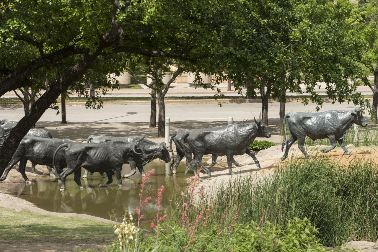 The Pioneer Plaza cattle drive sculpture, Dallas