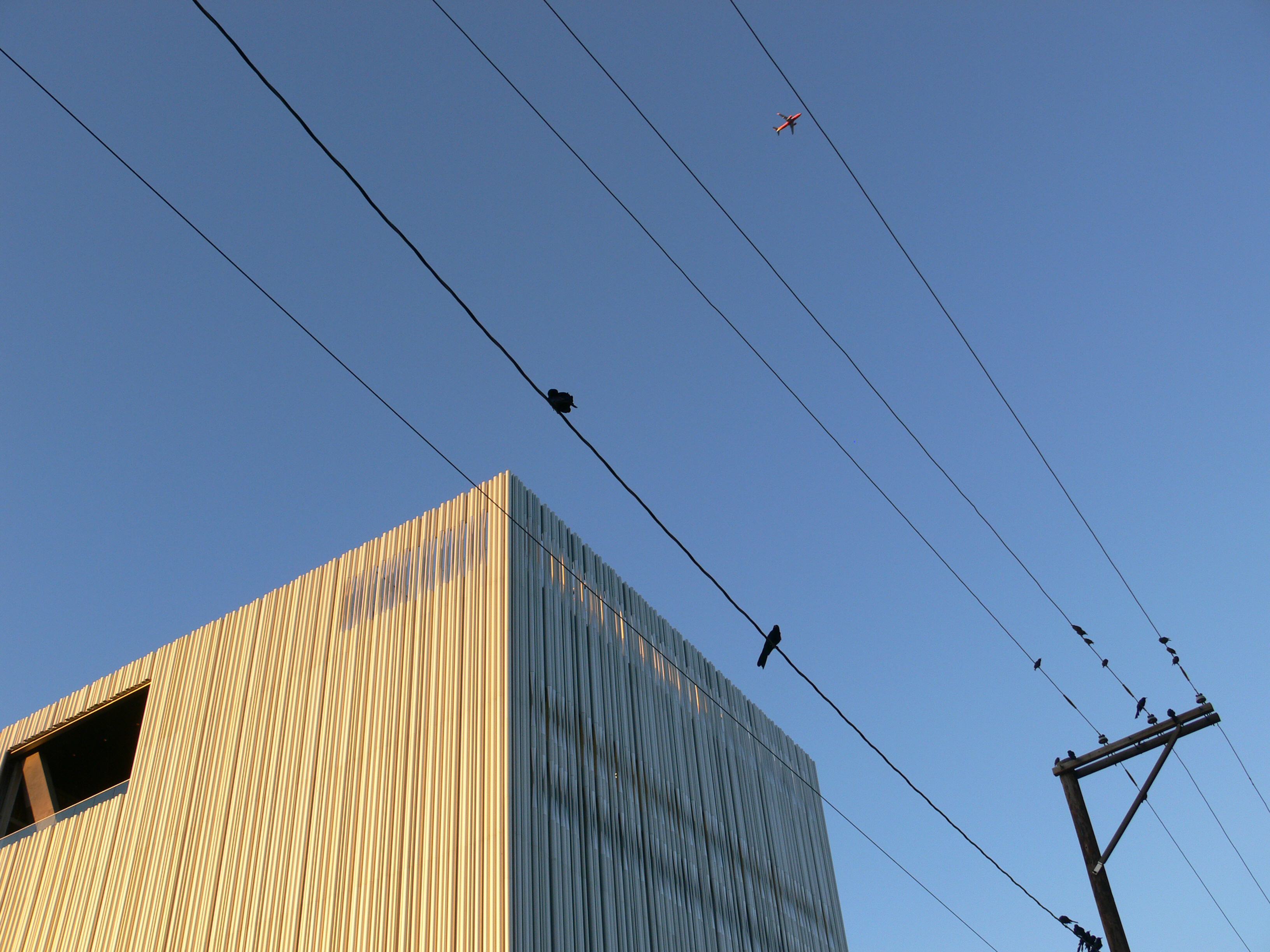 File:Dallas Wyly Theatre and birds.jpg